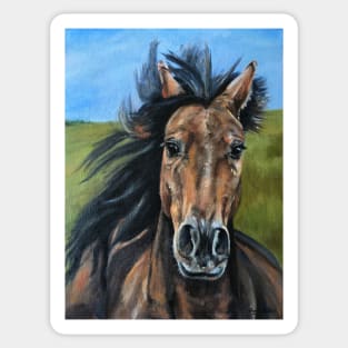 Galloping Horse Sticker